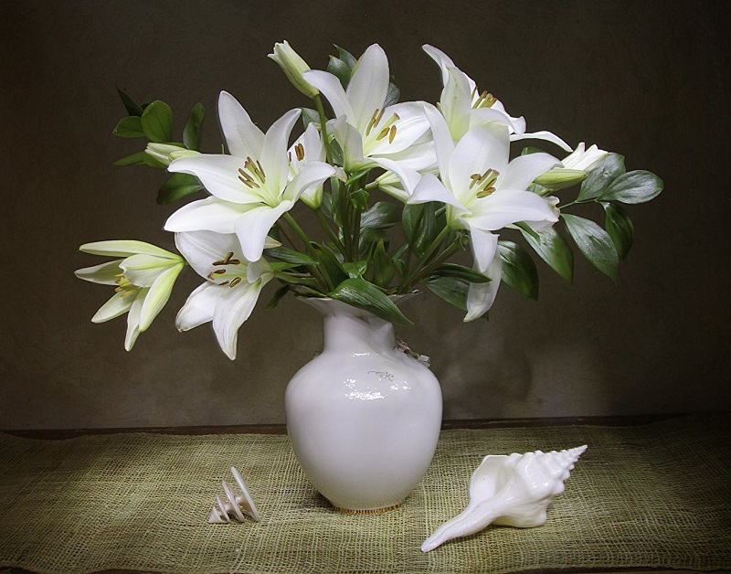 Hoa Ly trắng